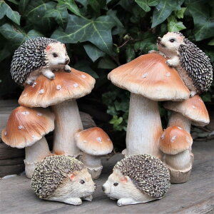 j˂݂̒u ̂nlY~̃t@~[4iZbg 6315E16HT I[ig IuWF K[f K[fjO Aj}IuWF }XRbg Aj} G fBXvB A  L