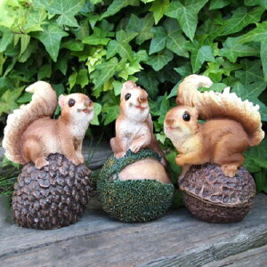 肷̒u X؂̎3CZbg 31968HH XuCLO  I[ig IuWF K[f K[fjO  u }XRbg G  fBXvC A 킢