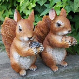 肷̒u X؂̎2CZbg 30613HH  I[ig IuWF K[f K[fjO  u }XRbg G  fBXvC A 킢