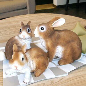 ̒u thrbg3CZbg M3636E37E40-00 ETM rbg e I[ig K[f IuWF CeA u }XRbg I[ig fBXvC   K[fjO 