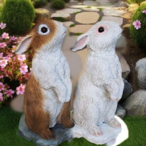 ̒u thrbg2CZbg M3638-01-02 ETM rbg e I[ig K[f IuWF CeA u }XRbg I[ig fBXvC   K[fjO A