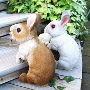 ̒u nMOrbg2CZbg M3639-01-02 rbg e I[ig ETM pI[ig@IuWF K[f K[fjO CeA }XRbg fBXvB A 