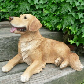 送料無料 犬の置物 大型ゴールデンレトリバー N11963 いぬ イヌ 動物 オーナメント ガーデン インテリア 雑貨 置物 庭 ガーデンマスコット リアル デスプレィ