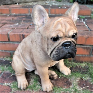 ̒u t`uhbO T14054  Ck  I[ig K[f CeA G u  K[f}XRbg Gݏ fBXvB  A K[fjOG AeB[N 