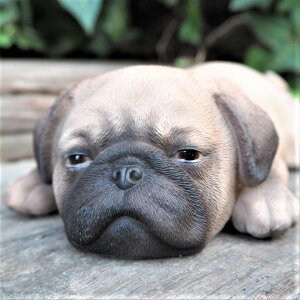 ̒u pO  T14267  Ck  I[ig K[f IuWF  G K[fjO CeA G }XRbg A fXvB Aj} K[fjOG AeB[