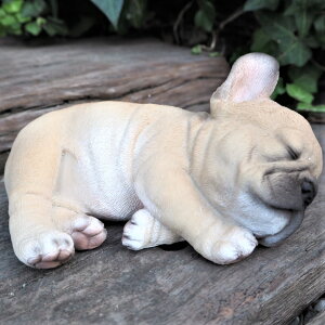 ̒u t`uhbO ˂ނ T14264  Ck  I[ig K[f CeA G u  K[f}XRbg Gݏ fBXvB  A K[fjOG A