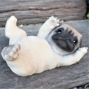 ̒u pO Q T14268  Ck  I[ig K[f IuWF  G K[fjO CeA G }XRbg A fXvB Aj} K[fjOG AeB[N 