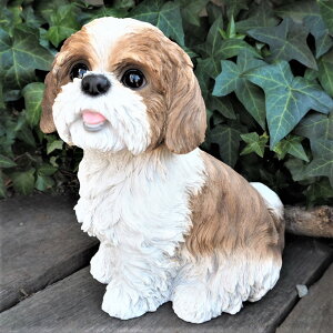犬の置物 シーズー T14057 いぬ イヌ 動物 オーナメント ガーデン オブジェ 庭 雑貨 ガーデニング インテリア マスコット ディスプレィ 陶器 リアル ガーデニング雑貨 ガーデン雑貨