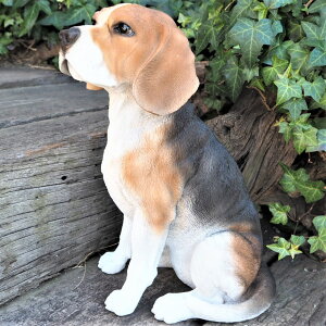 ̒u r[O  Ck  T14058 I[ig K[f IuWF  G K[fjO CeA G }XRbg Aj}IuWF K[fjOG K[fG