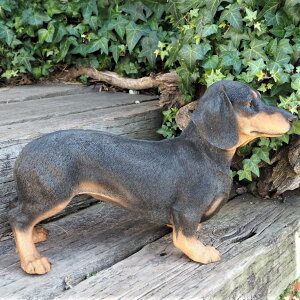  ̒u _bNXth T14056  Ck  I[ig K[f CeA G u  K[f}XRbg Gݏ fBXvB  A K[fjOG K[f