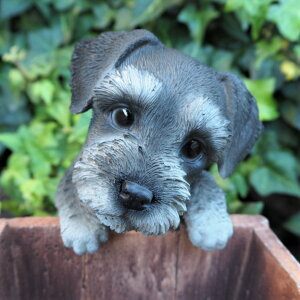 ̒u ViEU[ nMOhbO T14205  Ck  I[ig K[f IuWF  A K[fjO CeA G }XRbg K[fG