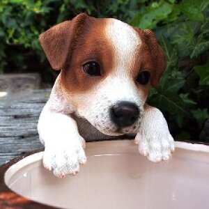 ̒u WbNbZeA nMOhbO T14208  Ck  I[ig K[f IuWF  A K[fjO CeA G }XRbg