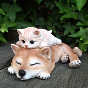 qLƎČ MIX049QB Č L  K[fIuWF CAT  I[ig lR G K[f IuWF K[fjO CeA }XRbg Aj} A fBXvB ˂ O