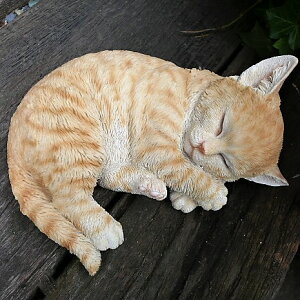 L̒u gL L T14223 Lbg K[fIuWF CAT  I[ig lR G K[f IuWF K[fjO CeA }XRbg Aj} A fBXvB ˂ 