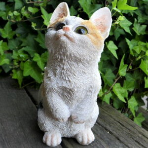 L̒u OєL̎qL 7231HT Lbg K[fIuWF CAT  I[ig lR G K[f IuWF K[fjO CeA }XRbg Aj} A fBXvB ˂ ObY