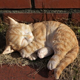 楽天市場 猫 居眠りの通販