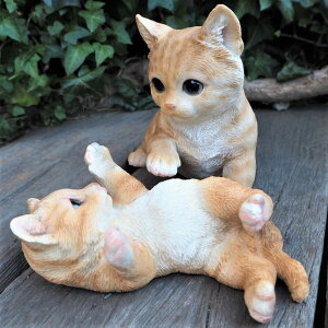 L̒u ꍇL2CZbg g 31355HH7375 Lbg K[fIuWF CAT  I[ig lR G K[f IuWF K[fjO CeA }XRbg Aj} A fB