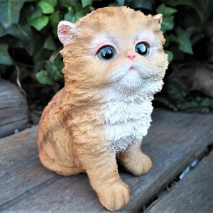 L̒u yVbh ^r[zCg̎qL 6115HT Lbg K[fIuWF CAT  I[ig lR G K[f IuWF K[fjO CeA }XRbg Aj} A 