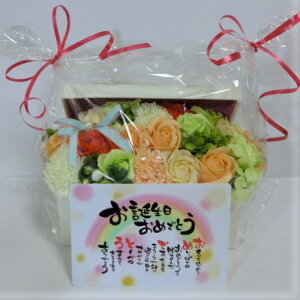 aj V{t[BOX G3576OR a߂łƂ |GJ[hEbsOT[rXt  AWt[ A[gt[ CX^f I[ig u[P CeA ԑ 