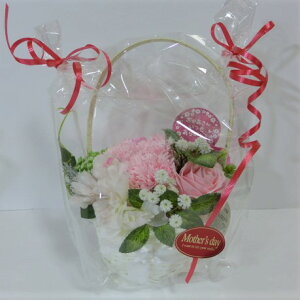 ̓ \[vt[AWoXPbg G3782 bsOT[rXt J[l[V V{t[  AWt[ A[gt[ CX^f I[ig u[P Ce