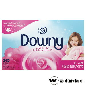 _Ej[V[g GCvtbV 240 @p_V[g downy