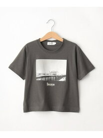 【リンクコーデ】フォトプリントTシャツ Dessin デッサン トップス カットソー・Tシャツ ホワイト グレー[Rakuten Fashion]