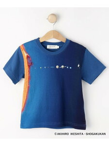 ySALE^60%OFFzywق̐}NEO R{zFTVc Dessin fbT gbvX Jbg\[ETVc lCr[yRBA_Ez[Rakuten Fashion]