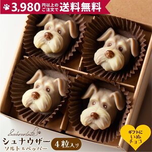 yʃ`R ViEU[(\g&ybp[)z ViEU[ `R[g Mtg f XC[c  ^  َq  َq `R xM[ `R lߍ킹