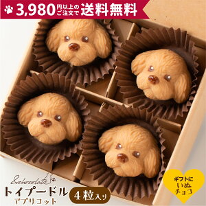 yʃ`R gCv[h(AvRbg)z v[h `R[g Mtg ̓ XC[c  ^ gCv[  f `R َq  킢َqMtg `[t {{