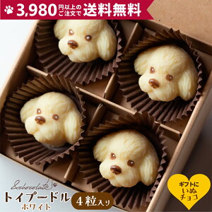 yʃ`R gCv[h(zCg)z v[h `R[g Mtg XC[c   ^ `R fXC[c َq  킢 َq `R xM[ 