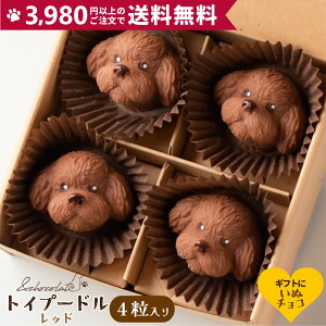 yʃ`R gCv[h(bh)z v[h `R[g Mtg XC[c  ^  fXC[c َq  َq `R xM[ `R lߍ킹 {