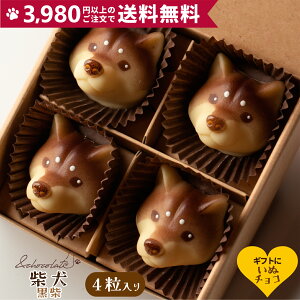 yʃ`R Č()z Č  `R[g Mtg XC[c   ^ fXC[c َq  `RMtg 킢`R[g Aj}`R `[t `R