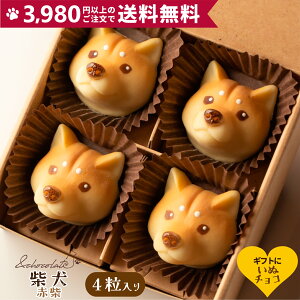 yʃ`R Č()z Č Ԏ `R[g Mtg XC[c   ^  fXC[c َq  ΂ َq `R `R lߍ킹 {{V