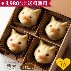 yʃ`R Č()z Č  `R[g Mtg ̓XC[c   ^  `[t fXC[c َq  ΂ `R xM[  `