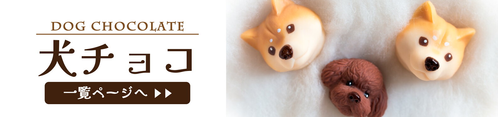 犬チョコ