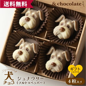 yʃ`R ViEU[(\g&ybp[)z ViEU[ `R[g Mtg f XC[c  ^  َq  َq `R xM[ `R lߍ킹