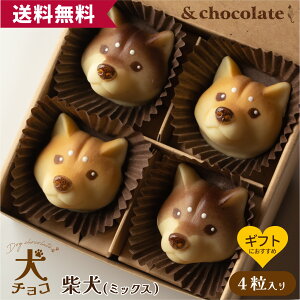 yʃ`R Č(~bNX)z Č `R[g Mtg XC[c   ^  fXC[c `[t َq  ΂ َq `R xM[ `R 