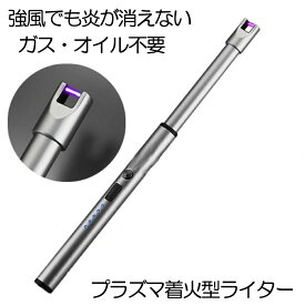 【強風でも消えない】 電子ライター プラズマライター ローランド ライター シルバー USB充電式 ガス オイル 不要 点火用ライター プラズマ 電気 防風 おしゃれ 軽量 薄型 アウトドア RORAND-SV