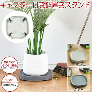 y LX^[ɂ z Aؔ Aؔ X^h t[  u LX^[ v^[pM LX^[t v[g a25.5cm  ϗtA t[bN v