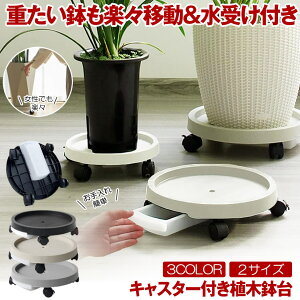 y z̔u z t[X^h u u rgC Aؔ LX^[ ϗtA u ړ Aؔ 󂯎M  ԑ v^[X^h  A LX^[t