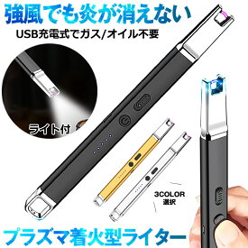 【LEDライト付き】 ライター 電子ライター プラズマライター 火起こし 火おこし USB充電式 TYPE-C ガス オイル 不要 点火用ライター チャッカマン プラズマ 電気 防風 おしゃれ 軽量 アウトドア キャンドルライター USBライター ローソク 点火