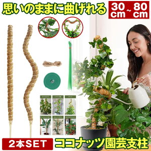 y 6TCYWJ z Ȃ RRXeBbN Xex 2{  ϗtA Xe x |x A K[fjOp Ԃ RRibcx AT|[g 30cm 40cm 50cm 60cm 70cm 80