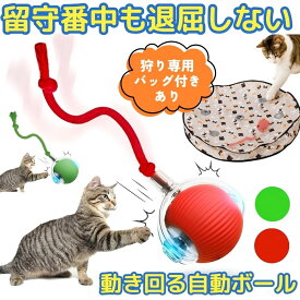 【自動で動く】 自動猫ボール ネコ 猫 おもちゃ ボール 電動 自動 犬 一人遊び 動くおもちゃ 室内 USB充電式 ペット ダイエット 運動不足 解消 LEDライト付き 尻尾付き しっぽ ひも Type-C ストレス解消