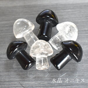 ̂  IjLX NH[c 1 u ɐ^ ^    LmR ou  p[Xg[