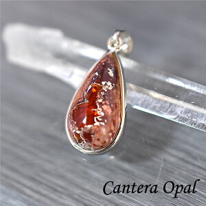 JeIp[ y_ggbv AXg[ Ip[ ou VR p[Xg[