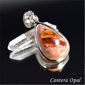 JeIp[ y_ggbv AXg[ Ip[ ou VR p[Xg[