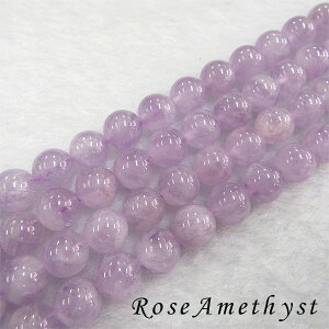 y[֑Ήz[YAWXg10~1 AWXg  VR _  p[Xg[