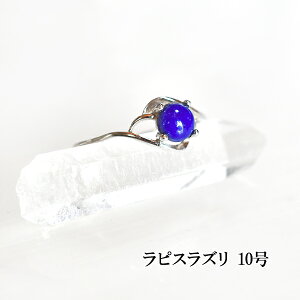 sXY 10 O w ANZT[ Vo[ VR p[Xg[