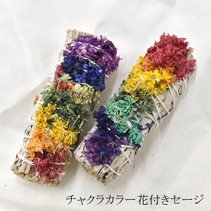 zCgZ[Wh `NJ[ԕt oh 1{ Z[W zCgZ[W  h^ ZhiY