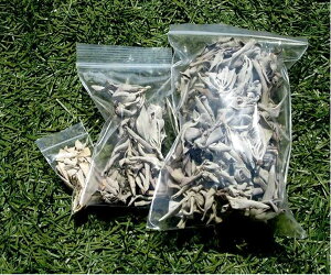 zCgZ[W Z[W 3g ZhiY i p[X|bg 򉻗p VR ou [t